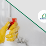 e-social-domestico-krc-contabilidade