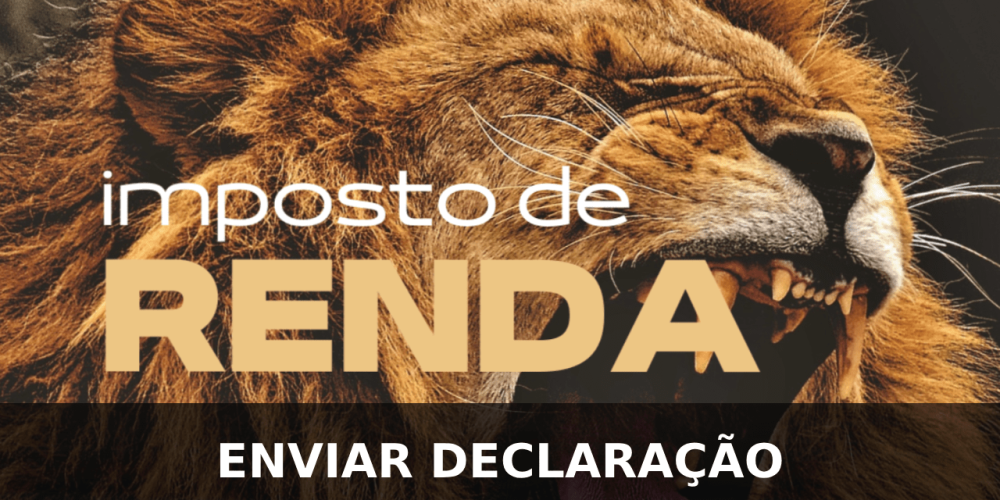 Enviar a Declaração do Imposto de Renda