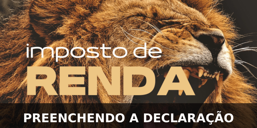 Preenchendo a Declaração do Imposto de Renda